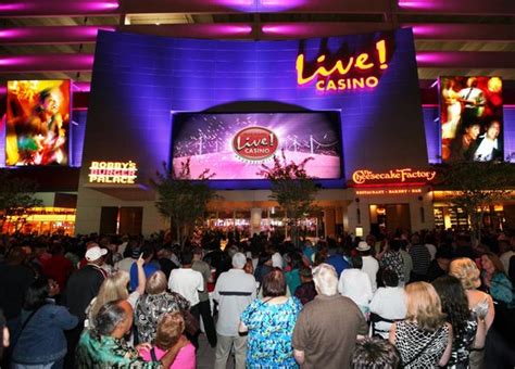 md live virtual online casino.